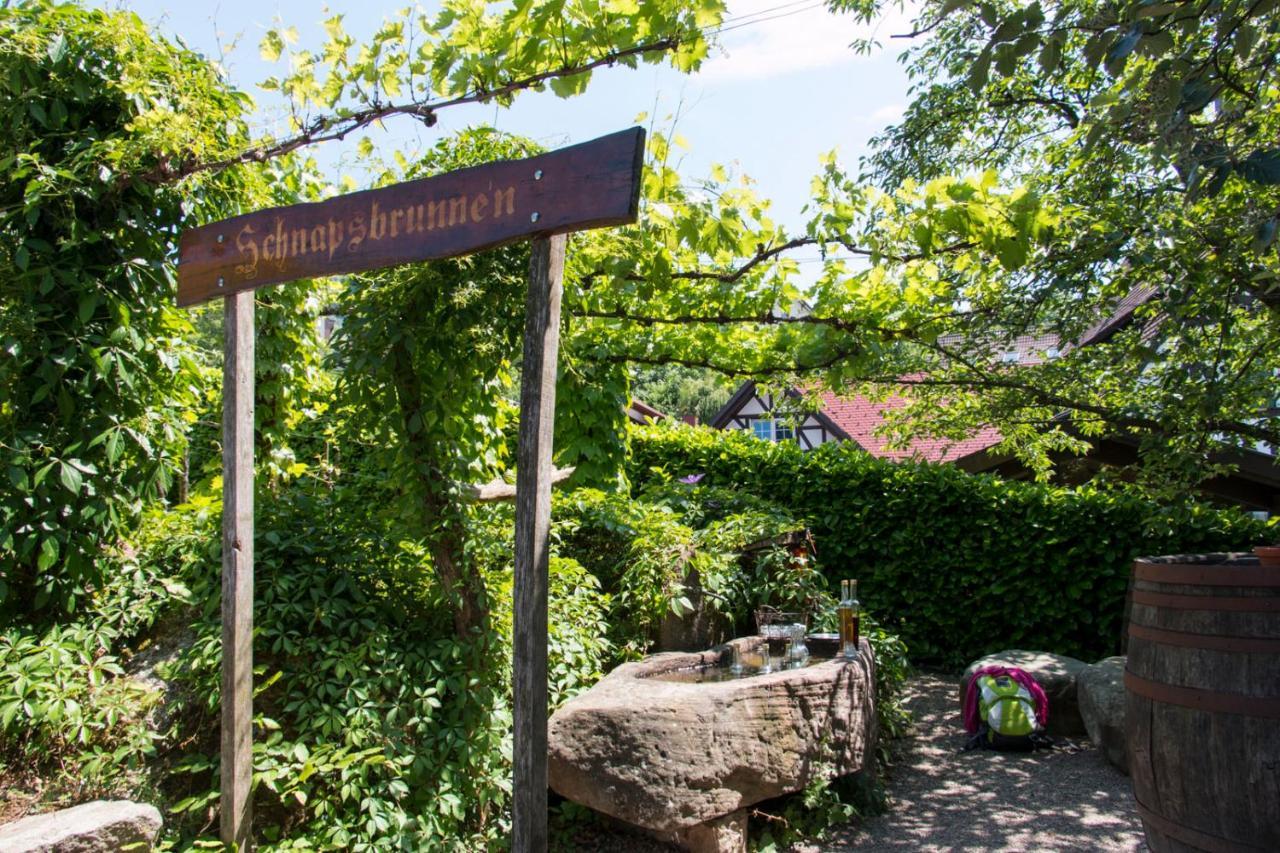 Terrassenpark Apartments Sasbachwalden Exterior foto