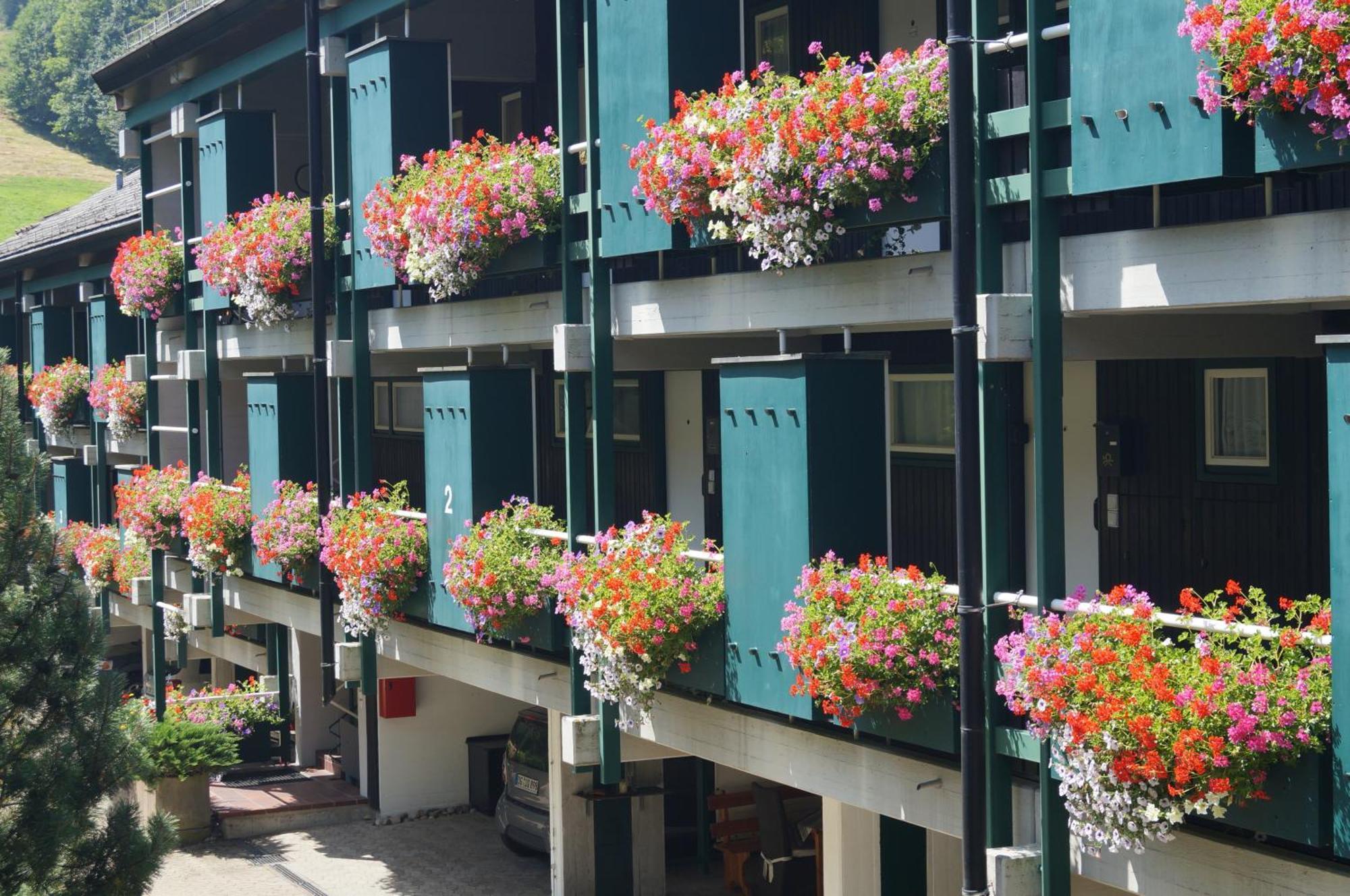 Terrassenpark Apartments Sasbachwalden Exterior foto