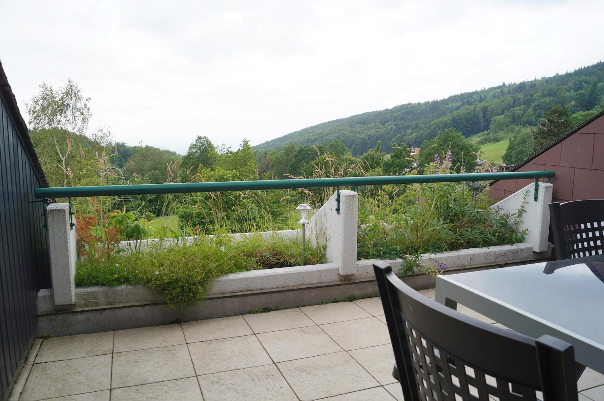 Terrassenpark Apartments Sasbachwalden Habitación foto