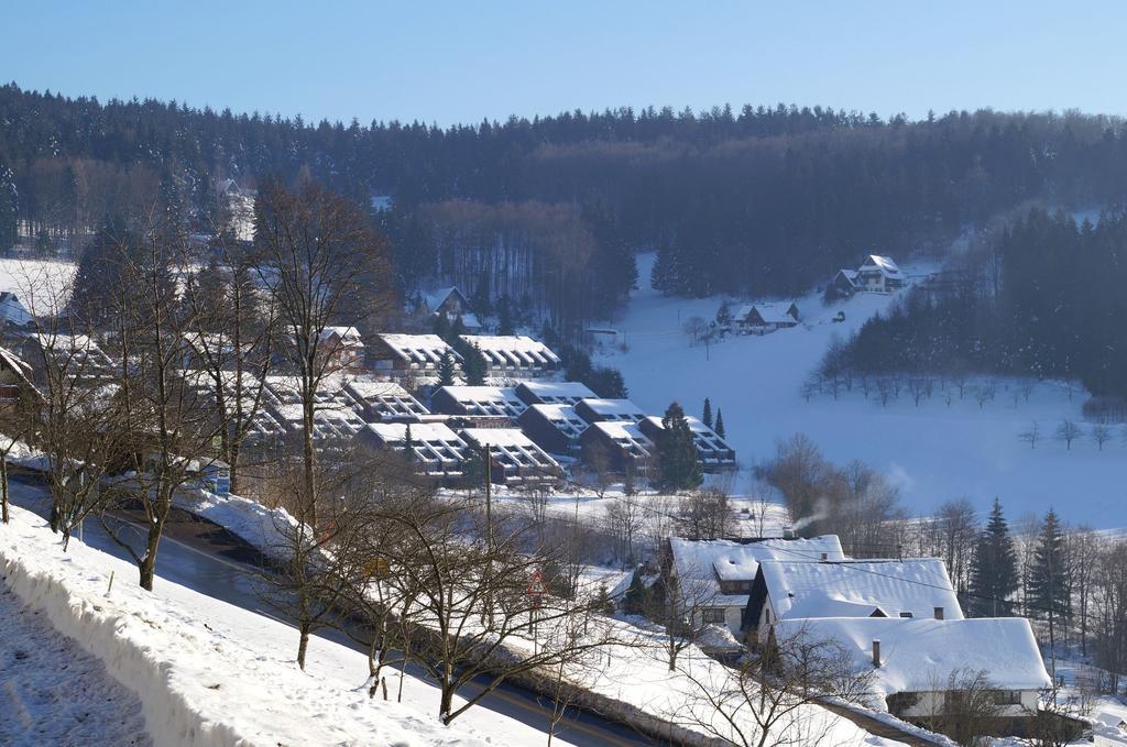 Terrassenpark Apartments Sasbachwalden Habitación foto